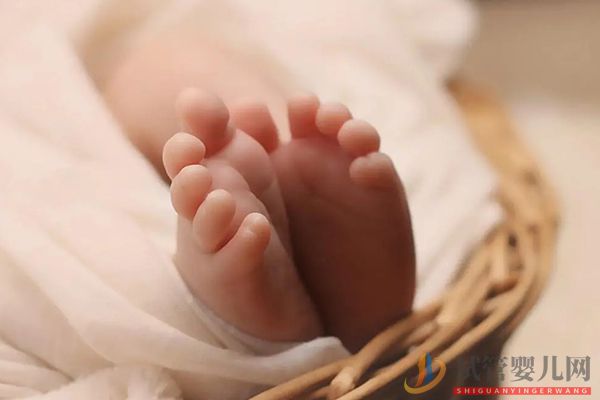 虎年生男生女表怎么看 教你準確算性別(圖4)