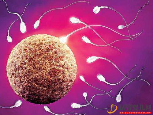 試管嬰兒網(wǎng):做一次試管嬰兒的過(guò)程多長(zhǎng)時(shí)間呢(圖2) 做一次試管嬰兒的過(guò)程多長(zhǎng)時(shí)間呢(圖1)