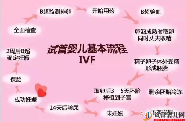 成功的女人,花50萬做試管嬰兒,試管過程你得知道(圖2) 成功的女人,花50萬做試管嬰兒,試管過程你得知道(圖2)