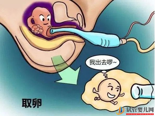 成功的女人,花50萬做試管嬰兒,試管過程你得知道(圖10) 成功的女人,花50萬做試管嬰兒,試管過程你得知道(圖10)