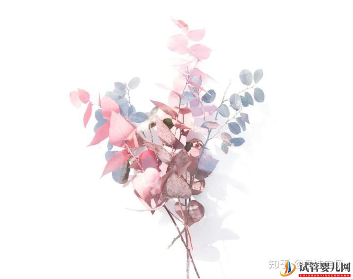 成功的女人,花50萬做試管嬰兒,試管過程你得知道(圖16) 成功的女人,花50萬做試管嬰兒,試管過程你得知道(圖16)