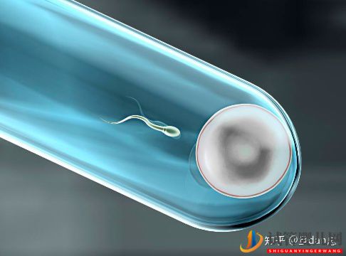 試管嬰兒流程太復雜_5個步驟一眼看懂(圖1)