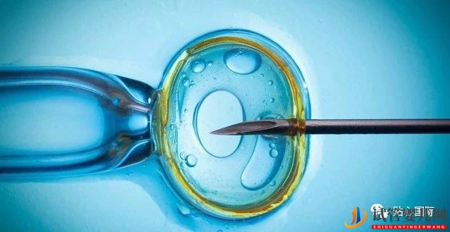 試管嬰兒4大流程,讓你了解它究竟是什么(圖1) 試管嬰兒4大流程,讓你了解它究竟是什么(圖1)