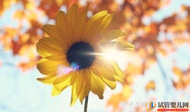 試管嬰兒網:公立醫(yī)院試管嬰兒多少錢一次_一代二代三代費用明細(圖6) 公立醫(yī)院試管嬰兒多少錢一次?一代二代三代費用明細(圖3)