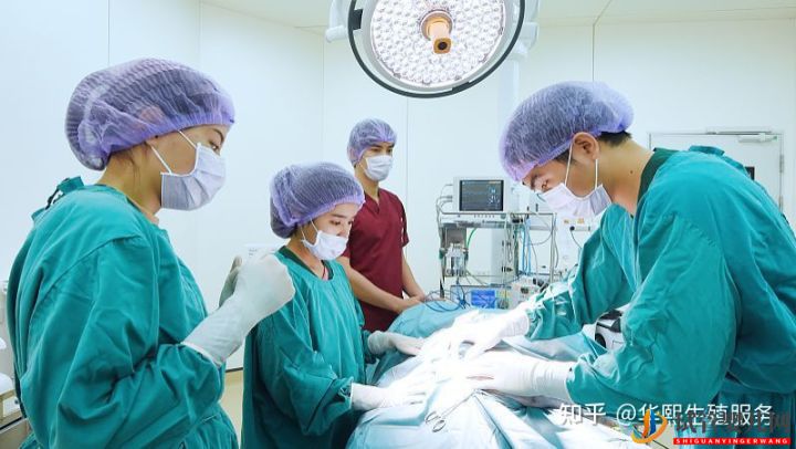 試管嬰兒網(wǎng):試管嬰兒費(fèi)用包含哪些方面(圖3) 試管嬰兒費(fèi)用包含哪些方面(圖3)