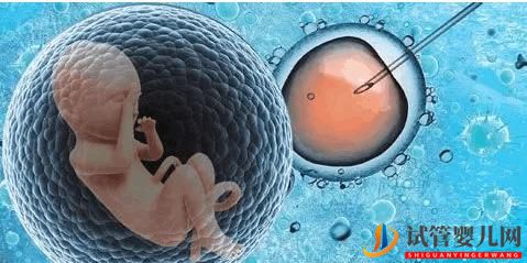 泰國試管嬰兒費用第二代和第三代的相差多少(圖1)