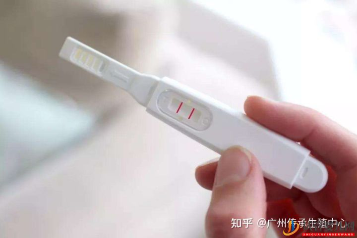 做試管很痛苦_生殖科醫(yī)生告訴你做試管的全過程(圖5) 做試管很痛苦_生殖科醫(yī)生告訴你做試管的全過程(圖5)