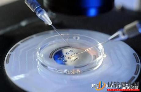 做試管嬰兒的全過程,一切順利的話(圖8) 做試管嬰兒的全過程,一切順利的話(圖8)