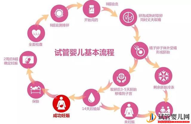 俄羅斯試管嬰兒的詳細過程是怎樣的，6個步驟解釋清楚(圖1)