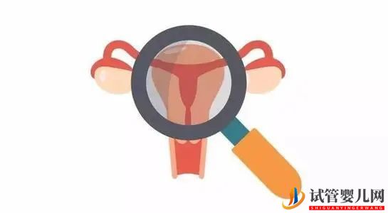 做試管嬰兒前有必要做宮腔鏡檢查嗎？(圖1)