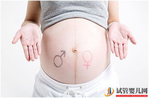試管嬰兒的歷史及其發(fā)展過(guò)程(圖14)