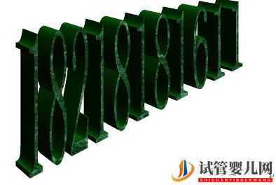 試管嬰兒的歷史及其發(fā)展過(guò)程(圖23)
