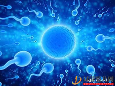 試管嬰兒的歷史及其發(fā)展過(guò)程(圖19)