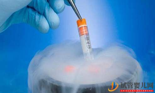 試管嬰兒凍胚的復蘇和移植過程是怎樣的?(圖1) 試管嬰兒凍胚的復蘇和移植過程是怎樣的?(圖1)