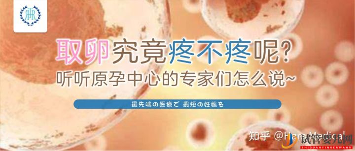 取卵究竟疼不疼呢_聽聽原孕中心的專家們?cè)趺凑f(圖2) 取卵究竟疼不疼呢_聽聽原孕中心的專家們?cè)趺凑f(圖2)