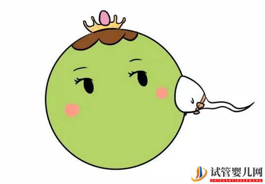 精卵不結合該怎么做試管嬰兒?(圖2) 精卵不結合該怎么做試管嬰兒?(圖1)