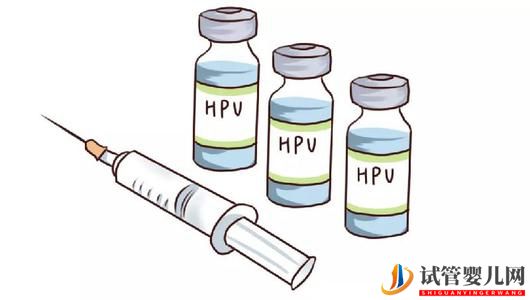 接種HPV疫苗后可以做試管嬰兒嗎？(圖1)