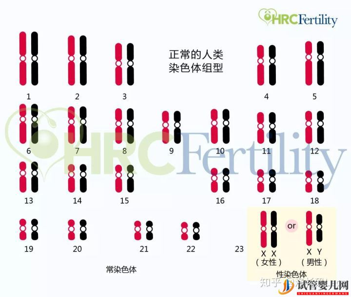 為什么選擇美國試管嬰兒_美國試管嬰兒到底有哪些優(yōu)勢(圖2)