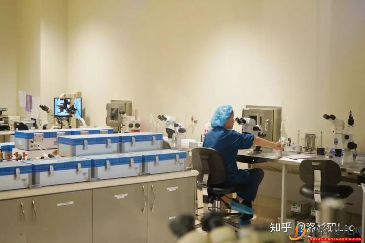 為什么選擇美國試管嬰兒_美國試管嬰兒到底有哪些優(yōu)勢(圖3)