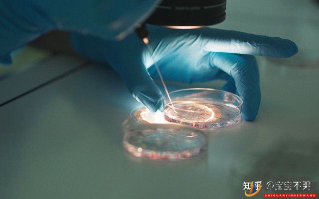泰國試管包成功的費(fèi)用是騙局嗎_到底可信嗎(圖2)