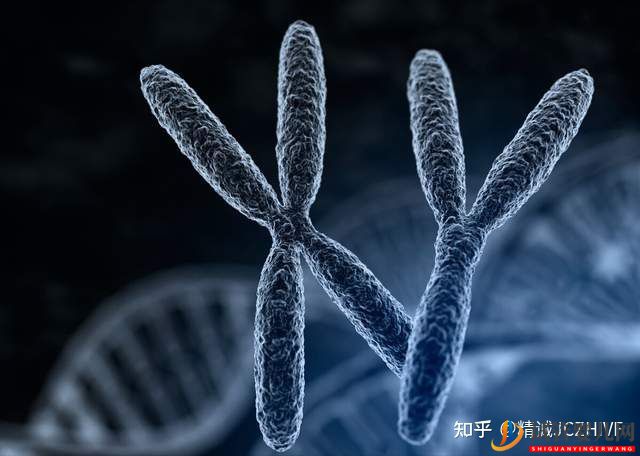 第三代試管嬰兒要花多少錢_流程是怎樣的(圖3)