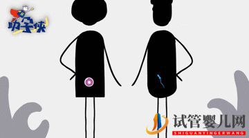 當家視頻_試管嬰兒的步驟、預算和時間管理(圖2)