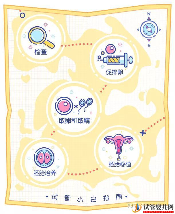 當家視頻_試管嬰兒的步驟、預算和時間管理(圖3)