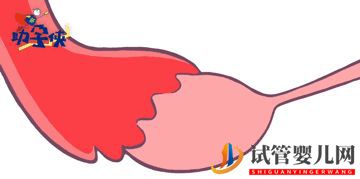 當家視頻_試管嬰兒的步驟、預算和時間管理(圖4)