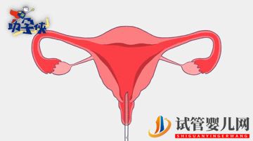 當家視頻_試管嬰兒的步驟、預算和時間管理(圖7)