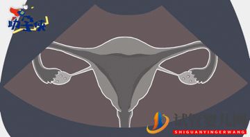 當(dāng)家視頻_試管嬰兒促排和取卵(圖10) 試管嬰兒促排和取卵(圖3)