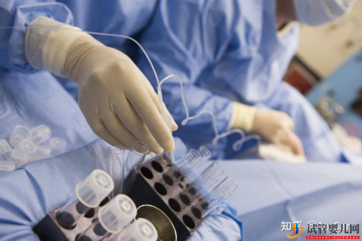 試管嬰兒大揭秘,取卵疼不疼(圖1)