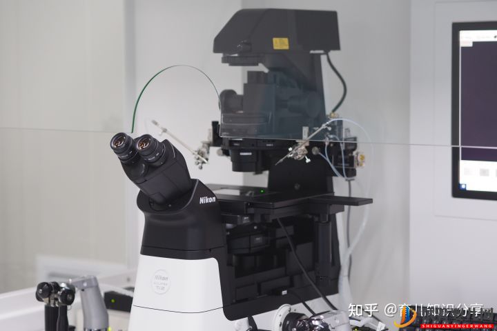 試管嬰兒收費價目表是什么樣的(圖2)