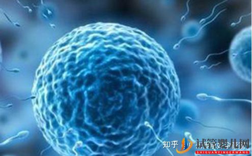 試管嬰兒男人是如何取精的_一般大家喜歡用這2種方法(圖2) 試管嬰兒男人是如何取精的_一般大家喜歡用這2種方法(圖2)