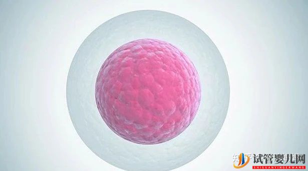 泰國做第三試管女性受罪嗎(圖3)