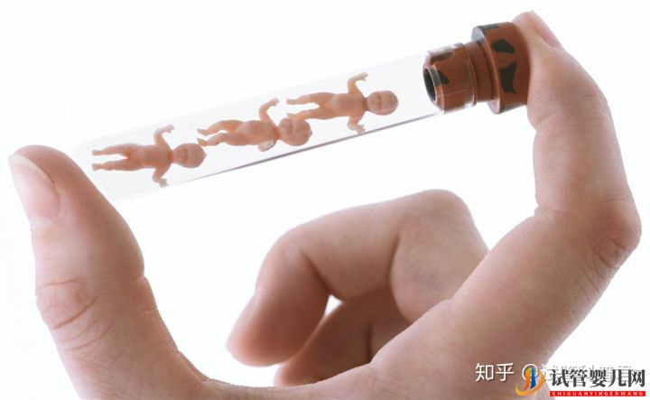 試管嬰兒成功誕生有多難(圖2)