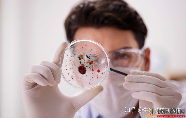 試管嬰兒成功率的高低,這4點很關鍵(圖5) 試管嬰兒成功率的高低,這4點很關鍵(圖5)