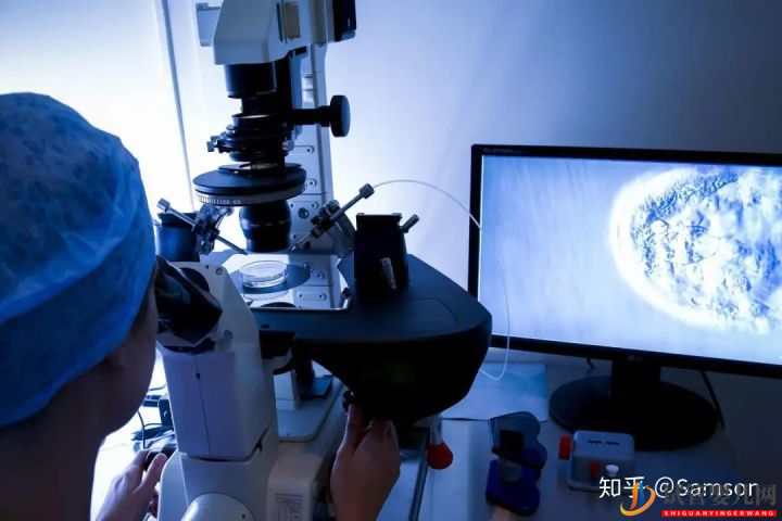 第三代試管嬰兒真的最好最先進嗎_國內哪里可以做(圖12) 第三代試管嬰兒真的最好最先進嗎_國內哪里可以做(圖12)