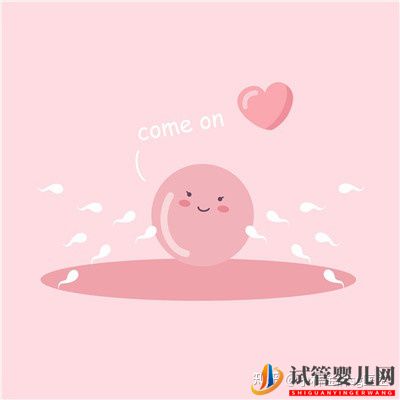 試管嬰兒網(wǎng):國內(nèi)第三代試管嬰兒多少錢_國內(nèi)私人試管機(jī)構(gòu)(圖1) 國內(nèi)第三代試管嬰兒多少錢_國內(nèi)私人試管機(jī)構(gòu)(圖1)