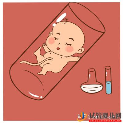 試管嬰兒網(wǎng):國內(nèi)第三代試管嬰兒多少錢_國內(nèi)私人試管機(jī)構(gòu)(圖3) 國內(nèi)第三代試管嬰兒多少錢_國內(nèi)私人試管機(jī)構(gòu)(圖2)