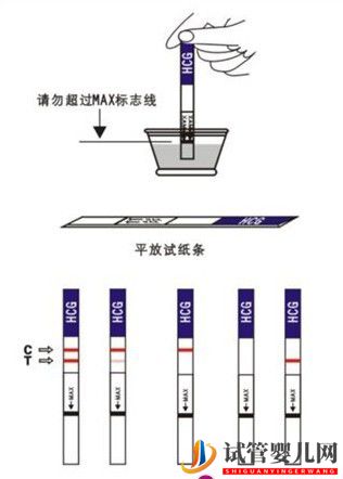 懷孕幾天能測出來(圖1)
