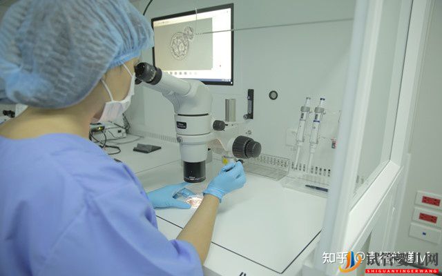 揭秘三代試管的成功率(圖2)