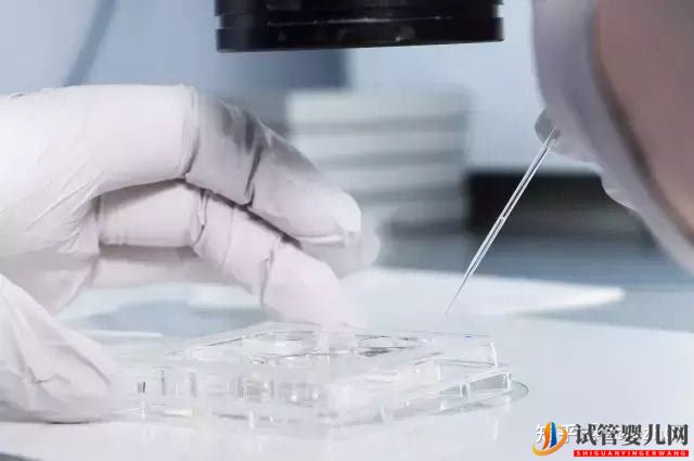 阿里做第三代試管一般幾次成功_你想要的答案都在這里(圖1)