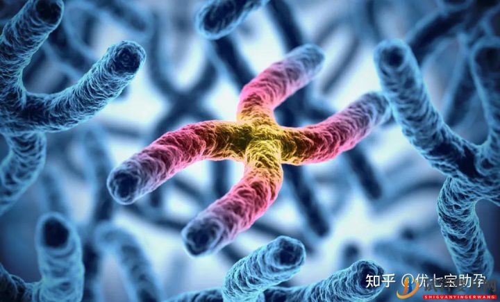 試管嬰兒網(wǎng):全面解析第三代試管嬰兒的科普知識(shí)(圖3) 全面解析第三代試管嬰兒的科普知識(shí)(圖2)