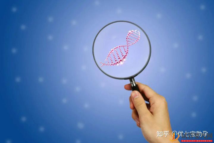 試管嬰兒網(wǎng):全面解析第三代試管嬰兒的科普知識(shí)(圖15) 全面解析第三代試管嬰兒的科普知識(shí)(圖8)