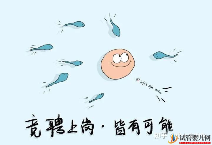 試管嬰兒網(wǎng):全面解析第三代試管嬰兒的科普知識(shí)(圖27) 全面解析第三代試管嬰兒的科普知識(shí)(圖14)