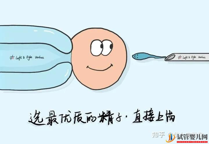 試管嬰兒網(wǎng):全面解析第三代試管嬰兒的科普知識(shí)(圖29) 全面解析第三代試管嬰兒的科普知識(shí)(圖15)