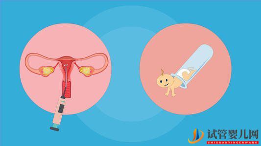 試管移植失敗后多久可以再次促排取卵(圖1)