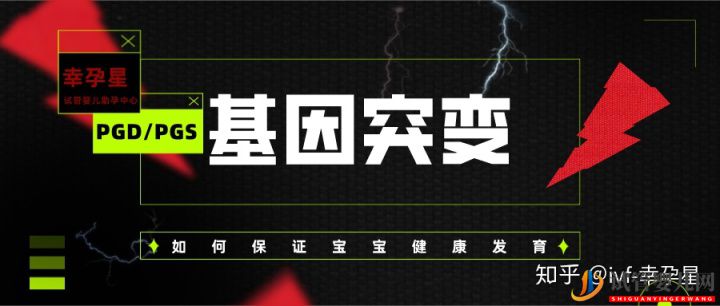 如何應對受精卵結合時發生基因突變(圖1)