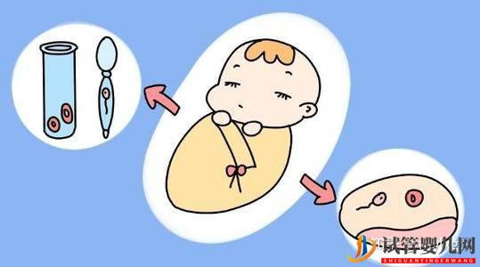 “試管嬰兒”只能活到四五十歲這你也信!(圖3)