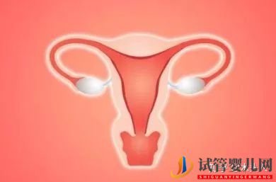 不著床總移植失敗70%的原因是因為這個!(圖2)